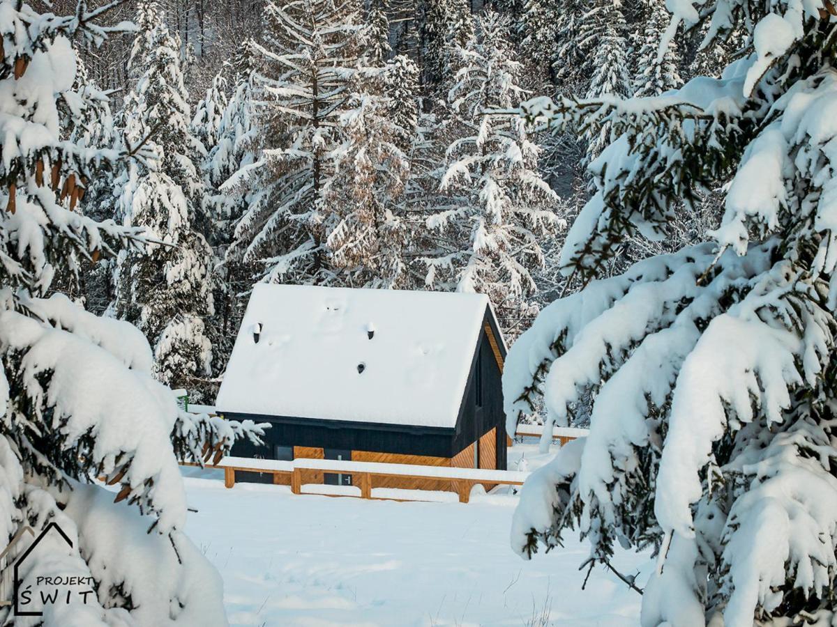Projekt Swit - Domki Z Prywatna Jacuzzi I Sauna Żywiec 外观 照片