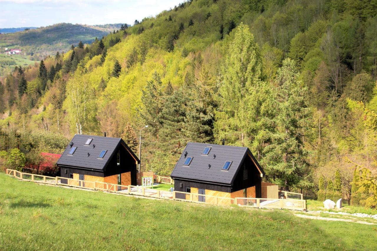 Projekt Swit - Domki Z Prywatna Jacuzzi I Sauna Żywiec 外观 照片